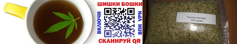 Купить закладки  Суворов  Canna-Cookies марихуана 