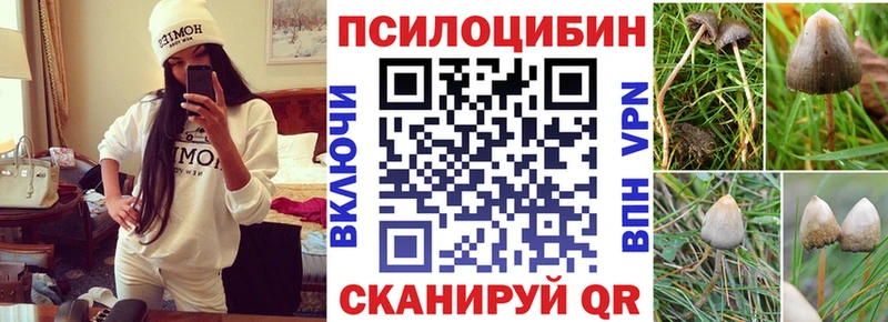 Псилоцибиновые грибы Magic Shrooms  Купить  Суворов 